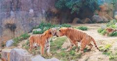新竹動物園一日遊，無鐵籠友善動物園區！門票/交通/停車場/附近景點。