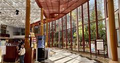 嘉義｜阿里山賓館：山景飯店推薦！視野遼闊，飽覽日出、晚霞、雲海，悠遊鐵道、神木、山林