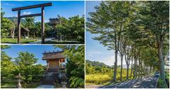 台東｜鹿野神社、龍田大草原、龍田綠色隧道，鹿野小旅行懶人包