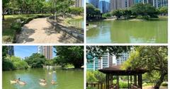 新竹竹北｜水圳森林公園：漫步湖畔，享受都市中的寧靜