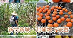 新竹｜一日遊行程懶人包：體驗甘蔗和柿子DIY活動，到老街大啖美食！新竹親子行程景點推薦