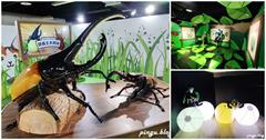 2021台北展覽｜大昆蟲展！我要當昆蟲王(2021/10/01~2022/06/12)