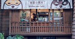 花蓮咖逼小売所｜斗宅。揀茶舍，置身在日式官舍內享受下午茶點