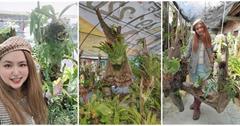 宜蘭｜壯圍「蕨藝木植栽園藝」：蕨類植物點綴漂流木，秒變藝術品！手作體驗DIY，還能租用回家當擺設
