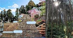 重新開園！高雄「藤枝國家森林遊樂區」門票限時半價!