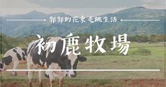 初鹿牧場小旅行！把時間留給台東，享受與乳牛互動的愜意生活