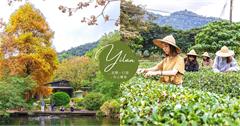 冬山一日遊：正福茶園採茶+冬山河舊河道遊船+良食農創園區