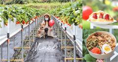 大湖草莓園複合咖啡廳 草莓炊飯便當必吃