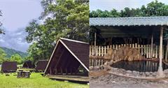 瘋露營｜新北、東部6個溫泉營地！吸收山林芬多精，同時享受暖呼呼溫泉