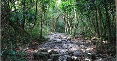 高雄｜壽山國家自然公園：高雄人的後山，木棧道、盤榕道，輕鬆寫意或挑戰級任你選擇！