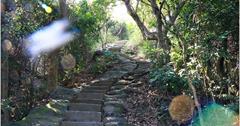 高雄｜大社觀音山風景區：挑戰大覺寺500石階，最陡的天梯！