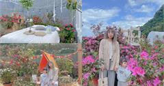 2022新北萬里杜鵑花花季開跑！瑪鋉運動公園、萬里觀光公園1萬2千株杜鵑盛大展開～