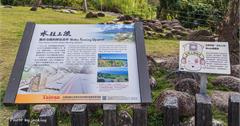台東東河｜眼見不一定為憑！難得一見的水往上流奇景