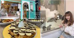 台北｜Meerkat75 Café - 75度獴：駐店狐獴近陪你吃！大推美味暖沙拉和豐盛義大利麵