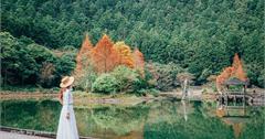 宜蘭大同｜明池國家森林遊樂區：夢幻高山湖泊美景，必拍日式庭園、千年古檜、落羽松