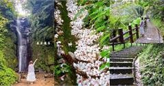 基隆｜泰安瀑布：健行油桐花秘境步道，10分鐘欣賞仙氣滿滿的瀑布！