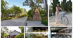 金門｜中山紀念林：金門第一座森林遊樂區，騎乘單車漫遊綠意公園！