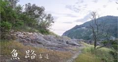 馬祖．莒光｜魚路古道｜走進大埔的繁榮歲月，感受挑夫們的日常辛勞