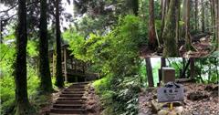 桃園｜東眼山自導式步道：上山避暑享受森林浴，沁涼系小百岳步道！
