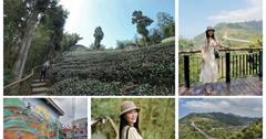 嘉義｜雲之南道步道：健行步道賞夢幻茶園景緻，漫步到全台最高的景觀吊橋「太平雲梯」！