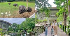 台東｜台東原生應用植物園：打卡空中景觀步道，免費牧草近距離餵食鴕鳥