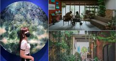 新北｜庶民美術館：百年老屋改建的美術咖啡館，藏身三峽老街環境清幽超好拍！