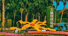 2022士林官邸菊展，歡慶20生日派對！