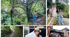 苗栗｜鳴鳳古道：仙氣滿滿的超熱門健行古道！親民路線輕鬆親近自然