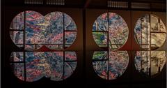 日本｜嵐山祐齋亭：京都超夯賞楓景點！染色藝術家工作室的鏡面賞楓秘境