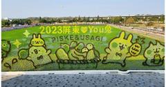 2023屏東熱帶農業博覽會登場！一起尋找粉紅兔兔和Ｐ助，彩繪稻田、迎春花海、瓜果長廊等你拍