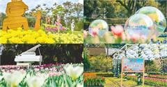 台北活動｜士林官邸鬱金香展，打卡13萬株鬱金香展區遇見愛！