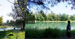 台東森林公園琵琶湖｜走路５分鐘就到！湖邊山水媲美隱藏秘境，鄰近台東濱海公園