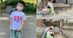 屏東｜不一樣鱷魚：全台唯一體驗餵食鱷魚，寓教於樂認識自然！親子戶外景點首選