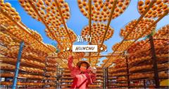2025新竹旅遊大百科！吃喝玩樂一日遊，秘境、步道、露營、賞櫻、美食全收錄，持續更新中