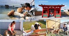 屏東｜鹿ㄦ島水豚生態園區：和萌呆水豚君共游，餵食梅花鹿和笑笑羊！墾丁超夯親子景點推薦