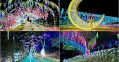 桃園｜2023年蘆竹炫YA農遊季：「夏日奇幻境」點亮大古山登山步道公園，打卡絕美紫藤花隧道