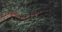 新竹｜嚴選9條登山步道、古道：從羽量級到挑戰級，還有此生必爬六星級步道推薦！