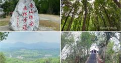 台南｜東山林安森林步道：全新翻修低難度健行步道！竹林、桃花心木和相思樹林翠綠成蔭