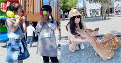 宜蘭｜Top10親子景點推薦：超高彩虹溜滑梯、DIY煮食、近距離餵食小動物外還有鯊魚活動體驗！