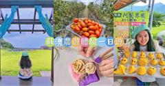 宜蘭｜蘇澳農產體驗一日遊：阿菊果園採果樂，深入朝陽步道認識在地自然文化