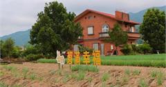 宜蘭｜星寶蔥體驗農場：蔥派DIY、蔥田拔蔥體驗、迷你驢和梅花鹿互動，親子景點推薦