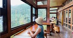 宜蘭｜太平山森林遊樂區：欣賞大自然原始樣貌，置身雲海咖啡廳玻璃景觀台眺望雲霧繚繞