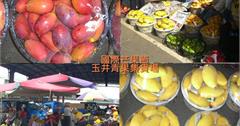 台南｜2023國際芒果節：芒果控必報到！高CP值各品種芒果齊聚一堂，還有新鮮芒果冰