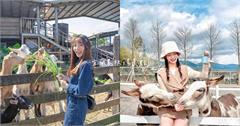 宜蘭｜9間人氣農場、牧場推薦：梅花鹿、水豚君、笑笑羊、狐獴丁滿超勾椎，還有陸龜主題農場！