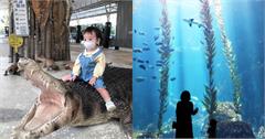  屏東｜親子景點TOP6：鱷魚餵食秀、鐵道迷的最愛、摘下米其林三星的海洋景點通通有！
