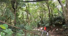 桃園｜巴陵古道生態園區：親子登山去，走訪泰雅部落古道、四大生態館，必訪絕美森林吊橋