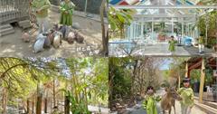 屏東｜阿信巧克力農場：小動物餵食互動、療癒樹林、彩色玻璃屋美景拍不完！親子出遊踏青去