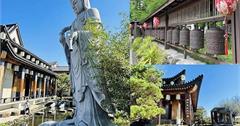 宜蘭｜北后寺：員山落羽松秘境，幽靜東方禪風，在流水、涼亭間洗滌心靈