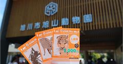 日本｜旭山動物園：行前須知、遊園重點、明星動物、餐飲總整理！北海道景點推薦