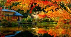 日本｜京都4間賞楓庭園餐廳推薦：在紅葉美景前大嗑美食，度過一個滿足的秋季